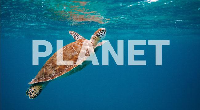 Planet
